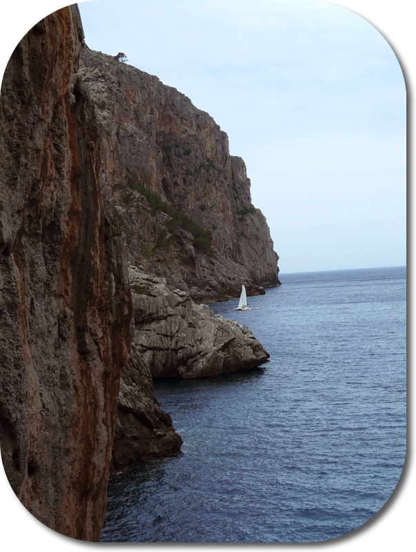The rugged limestone cliffs on the coast