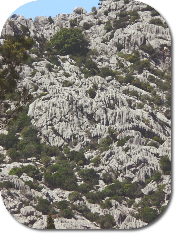 Strange limestone scenery